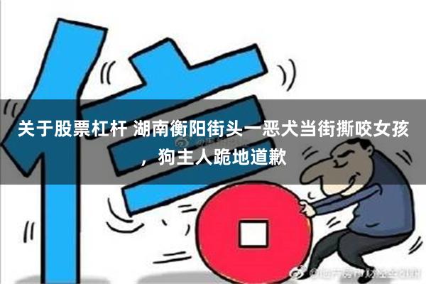 关于股票杠杆 湖南衡阳街头一恶犬当街撕咬女孩，狗主人跪地道歉