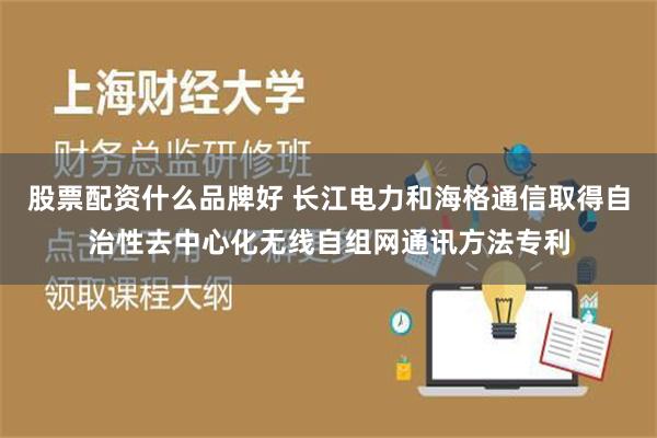 股票配资什么品牌好 长江电力和海格通信取得自治性去中心化无线自组网通讯方法专利