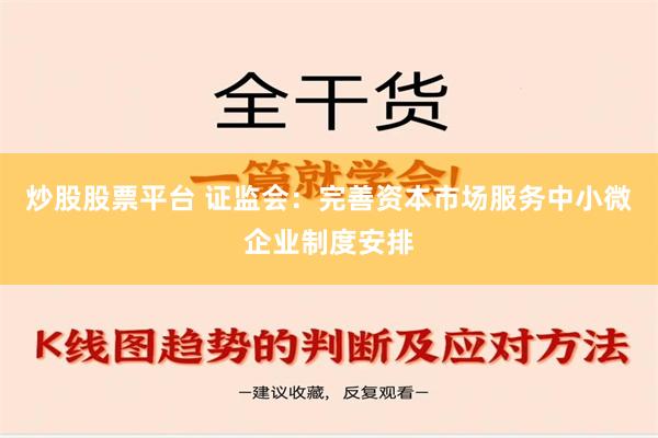 炒股股票平台 证监会：完善资本市场服务中小微企业制度安排